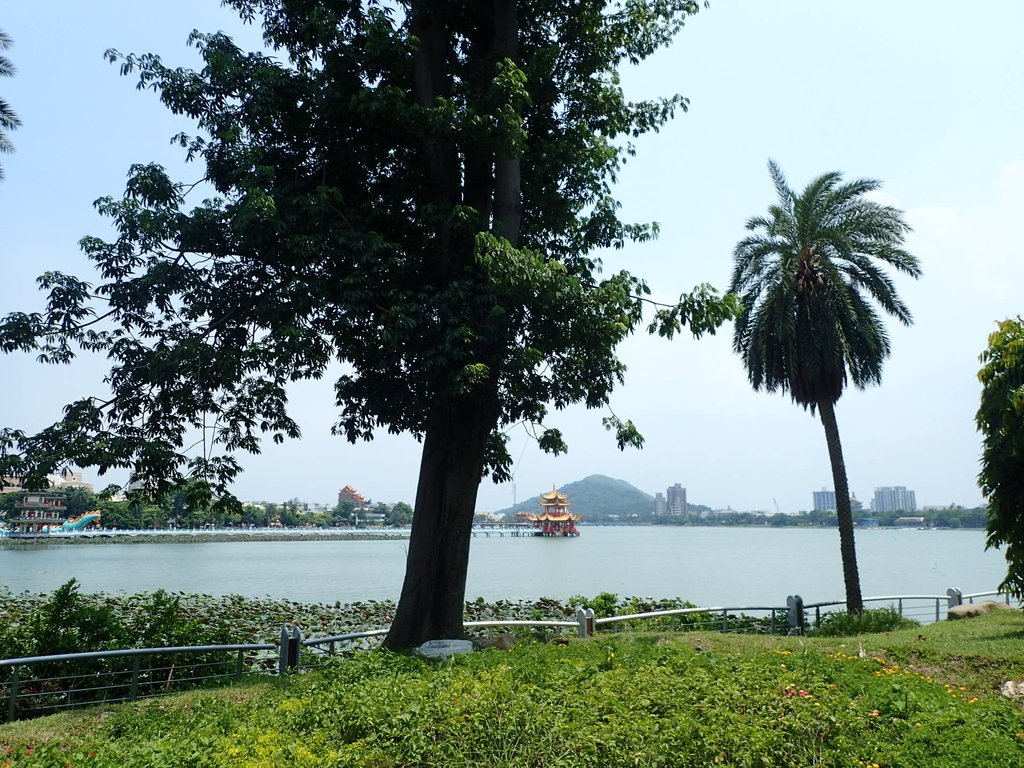 左營 蓮池潭 龜山公園 左營 蓮池潭 龜山公園