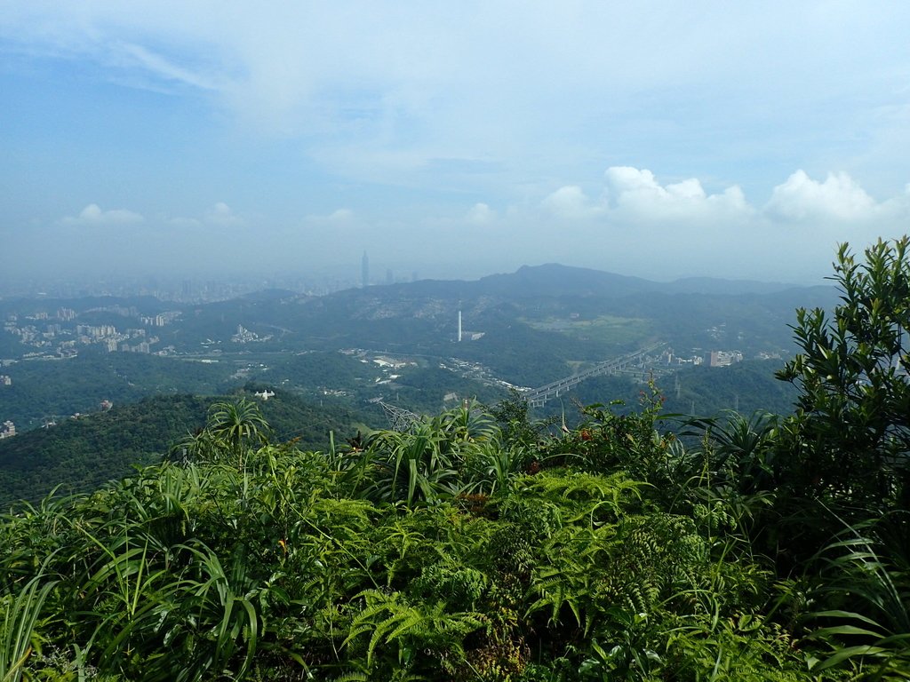 木柵 猴山岳登山步道 木柵 猴山岳登山步道