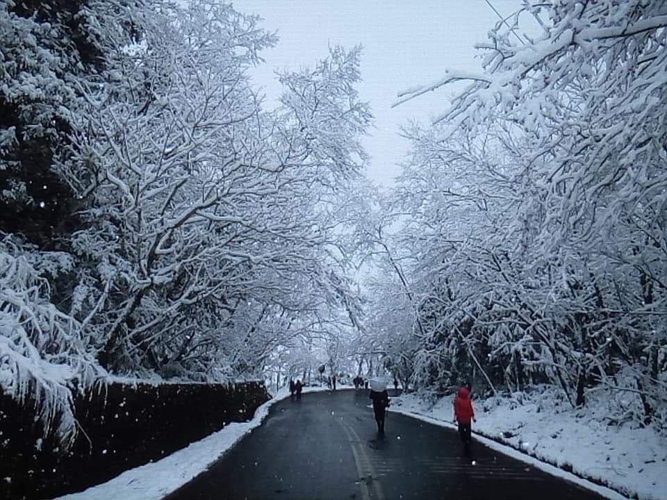 2021年 初雪印象 2021年 初雪印象