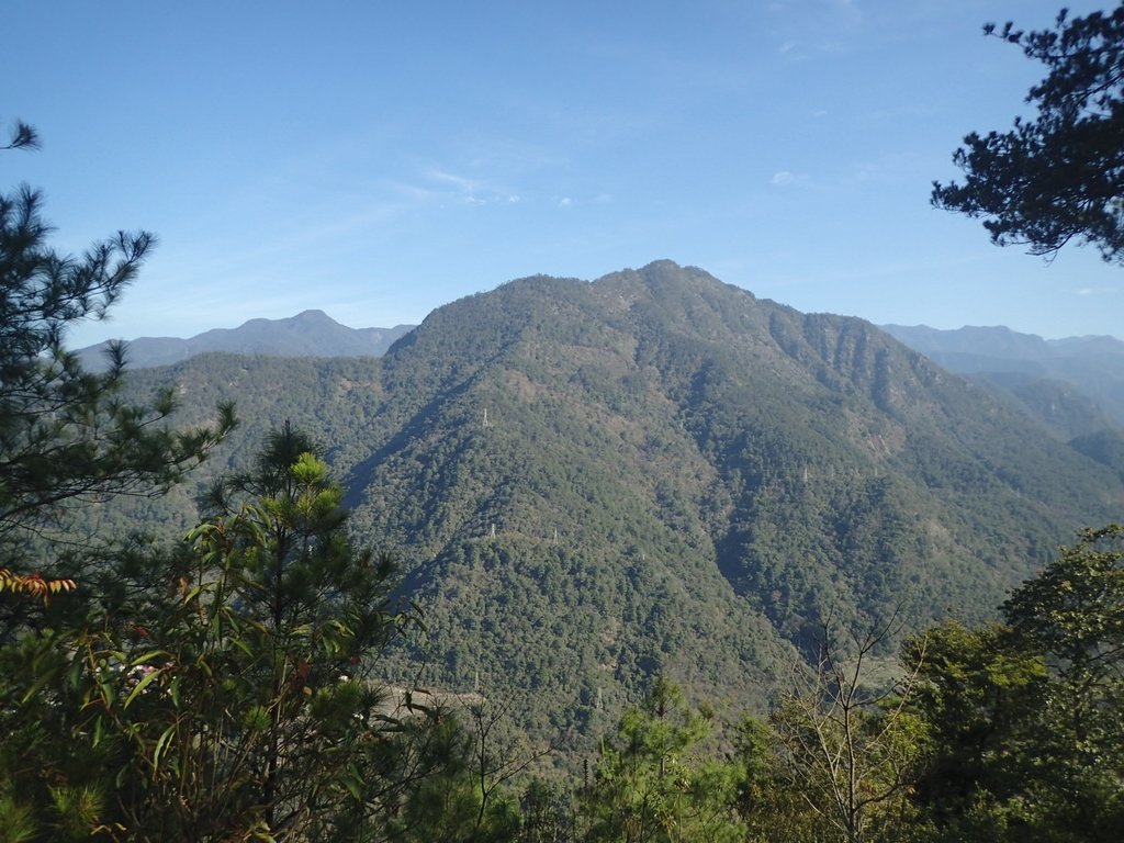 谷關 阿冷山登山步道 (下) 谷關 阿冷山登山步道 (下)