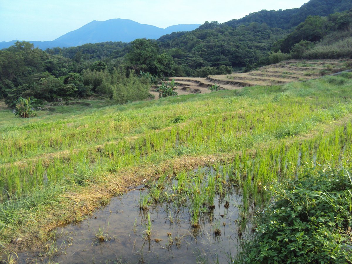 金山 葵扇湖 田野風光(下) 金山 葵扇湖 田野風光(下)