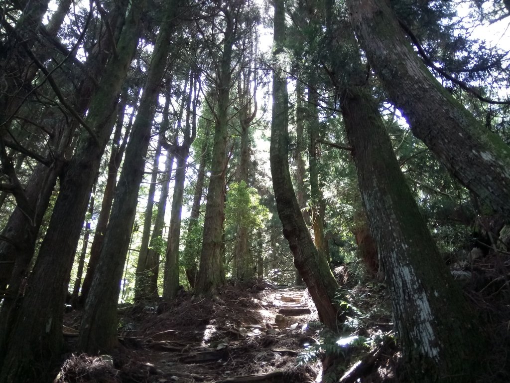 谷關七雄之 馬崙山 (上) 谷關七雄之 馬崙山 (上)