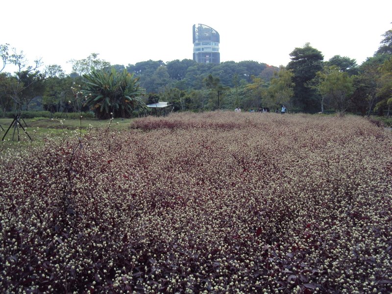 嘉義 都會森林公園 水源地水錶室 嘉義 都會森林公園 水源地水錶室