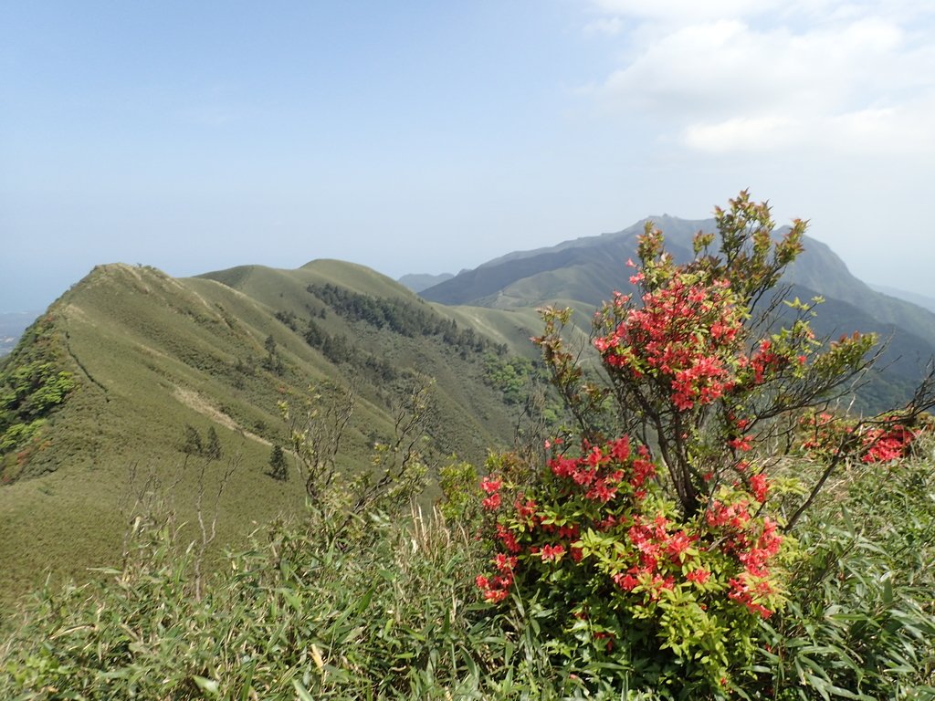 小觀音山群峰之 主峰 小觀音山群峰之 主峰