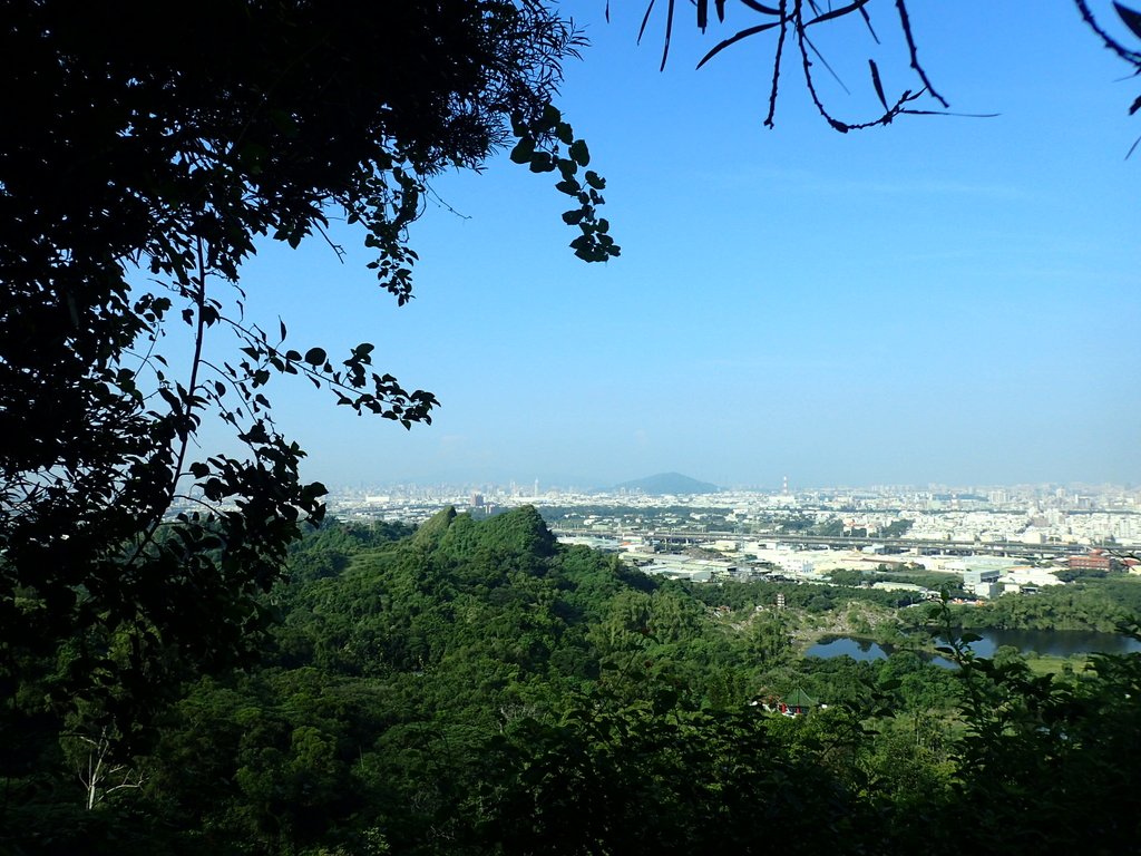 大社 觀音山步道 大社 觀音山步道
