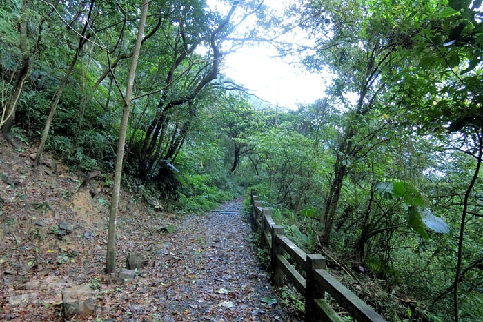 淡蘭古道 暖東舊路 淡蘭古道 暖東舊路