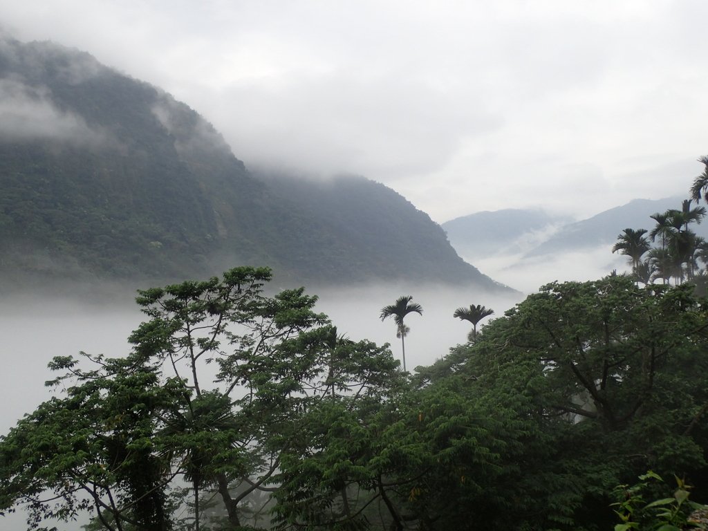 古坑 草嶺之 雲山繚繞 古坑 草嶺之 雲山繚繞