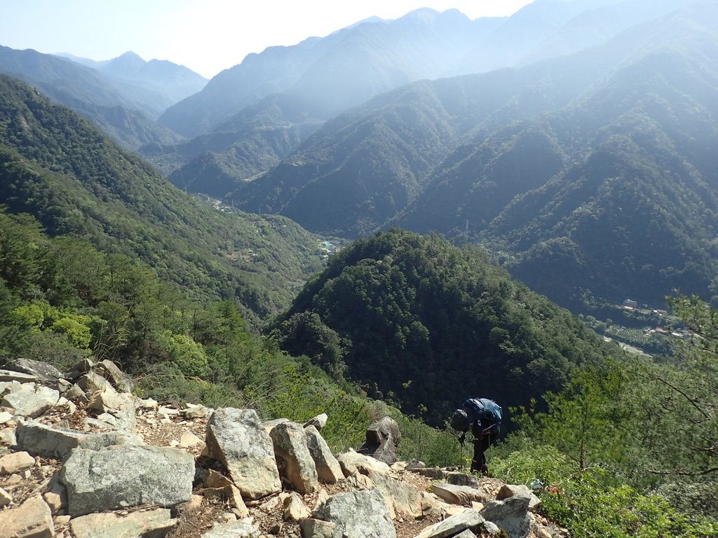 谷關 東卯山東南稜 (上) 谷關 東卯山東南稜 (上)