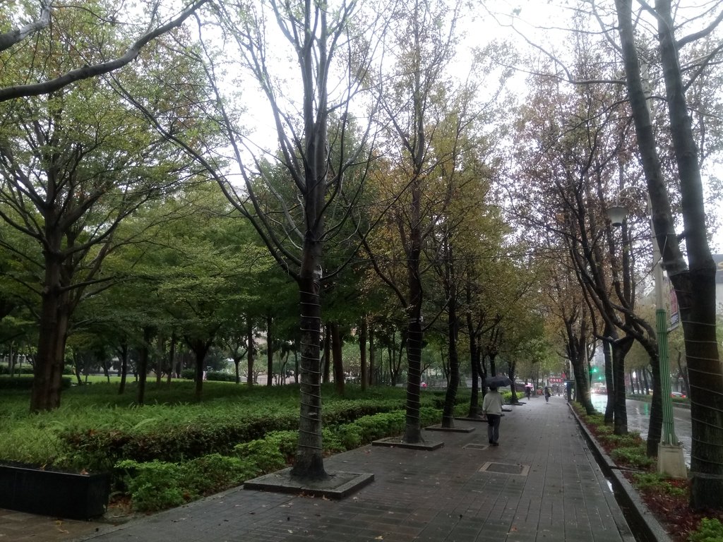 台北 街路隨拍 (02) 台北 街路隨拍 (02)