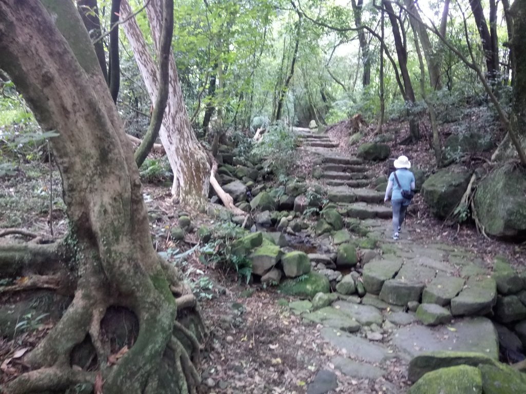 再訪 金包里大路 (魚路古道) 再訪 金包里大路 (魚路古道)