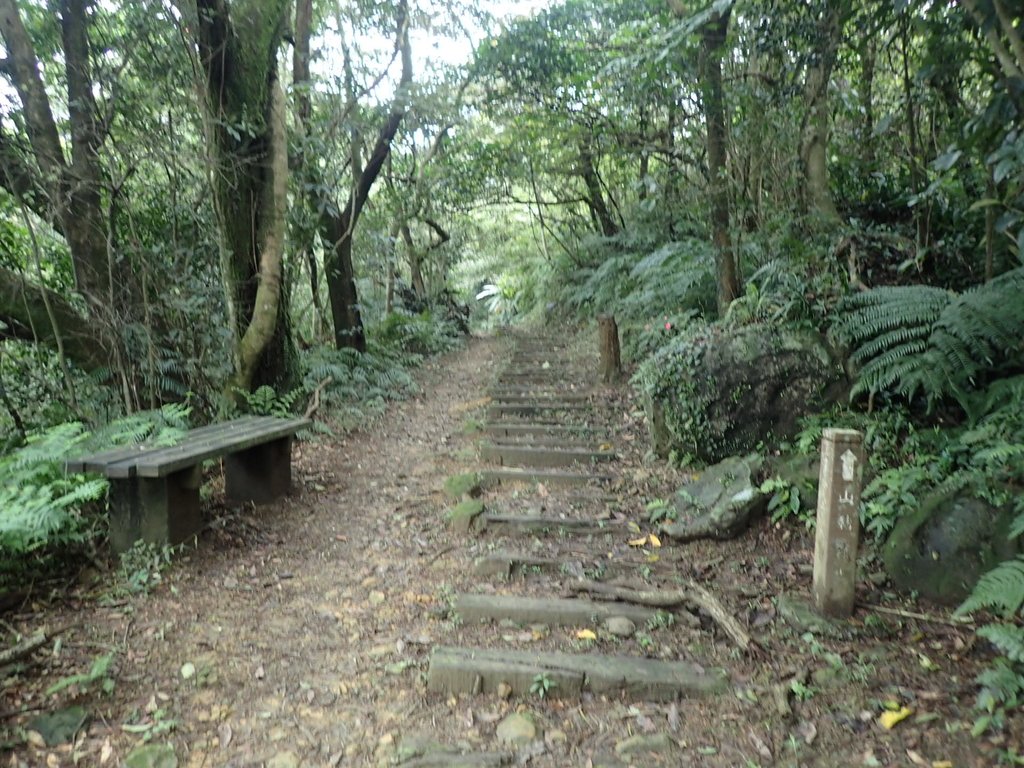 深坑 土庫岳登山步道 (02) 深坑 土庫岳登山步道 (02)