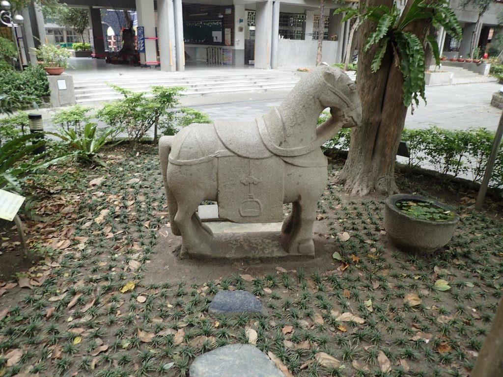 樹林國小 石馬 樹林國小 石馬