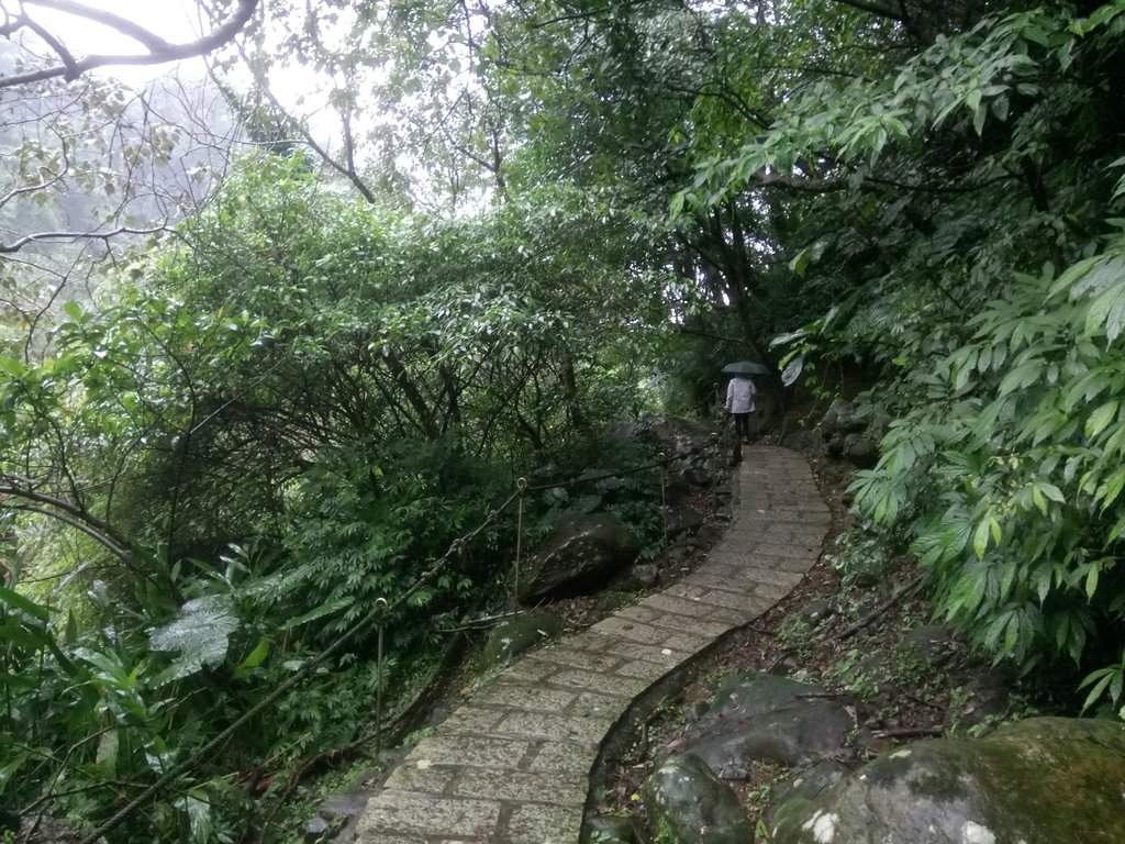 汐止 姜子寮絕壁步道 汐止 姜子寮絕壁步道