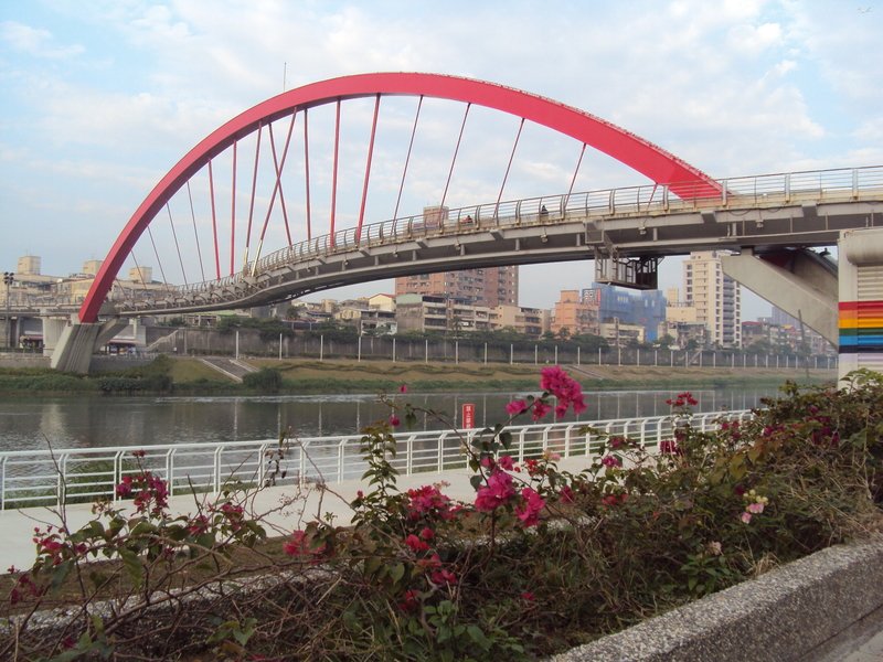 內湖 成美河濱公園 內湖 成美河濱公園