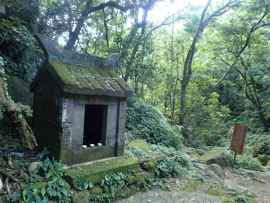 金山 倒照湖 竹子山古道 金山 倒照湖 竹子山古道