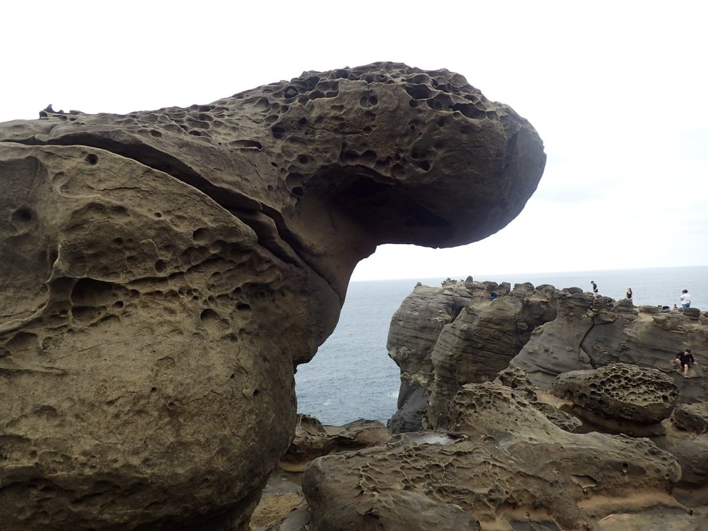 番仔澳 海岸奇岩之美 (02) 番仔澳 海岸奇岩之美 (02)