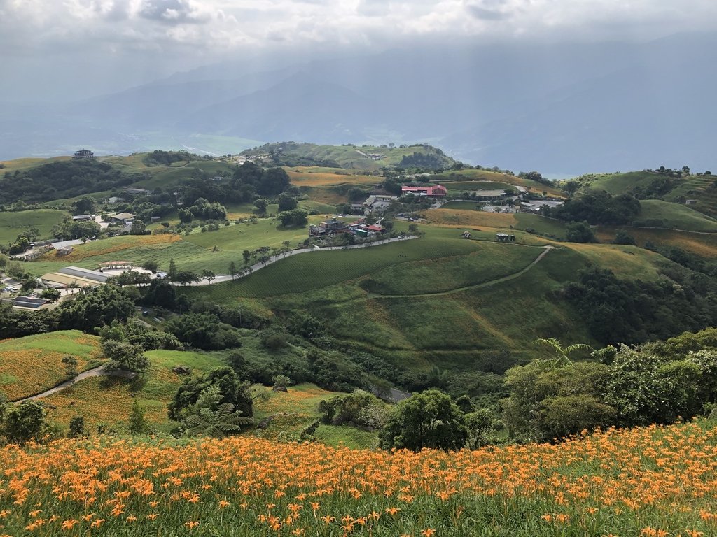 富里 六十石山 金針花季 (上) 富里 六十石山 金針花季 (上)