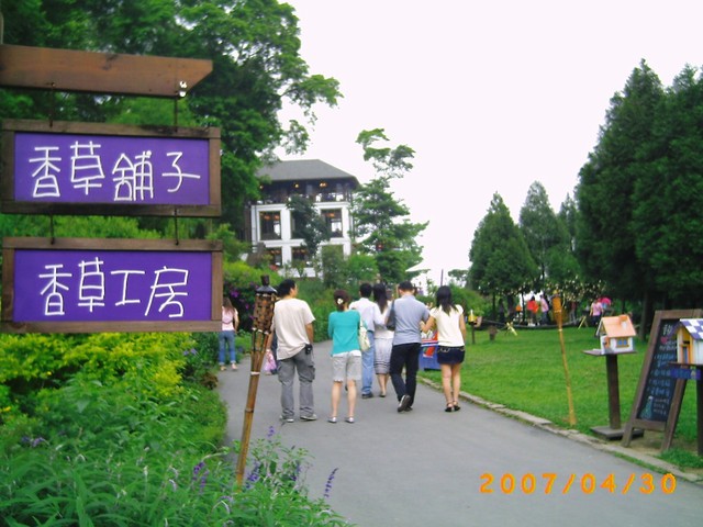 新竹 薰衣草森林(尖石店) 新竹 薰衣草森林(尖石店)