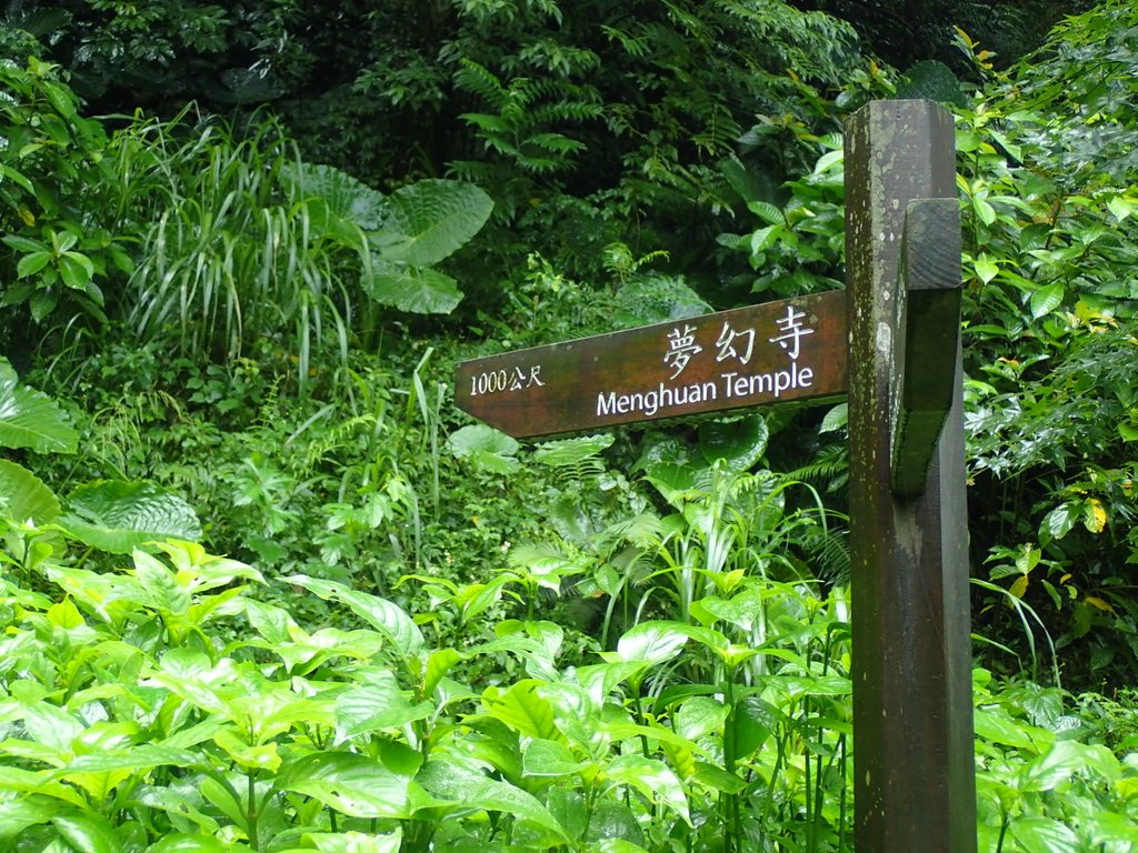 三貂嶺 夢幻寺步道 三貂嶺 夢幻寺步道