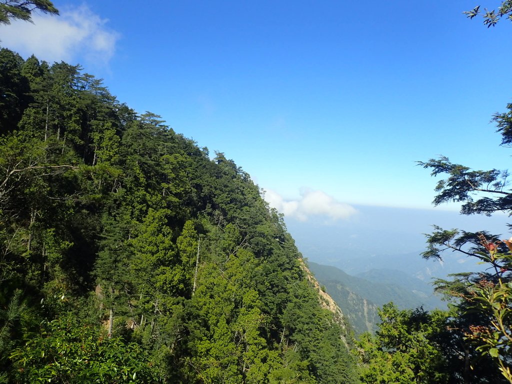 台中 和平 鳶嘴稍來山步道 (03) 台中 和平 鳶嘴稍來山步道 (03)