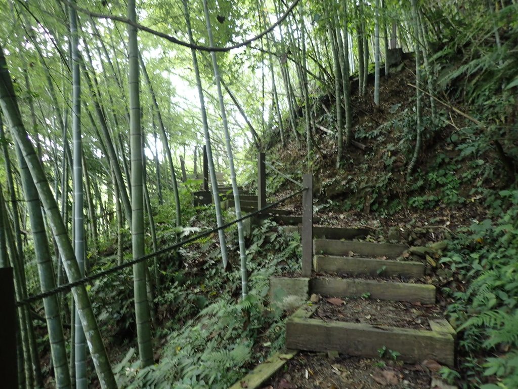 魚池 頭社 後尖山步道 (上) 魚池 頭社 後尖山步道 (上)