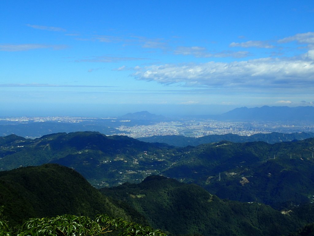 復興 東眼山森林步道 (01) 復興 東眼山森林步道 (01)