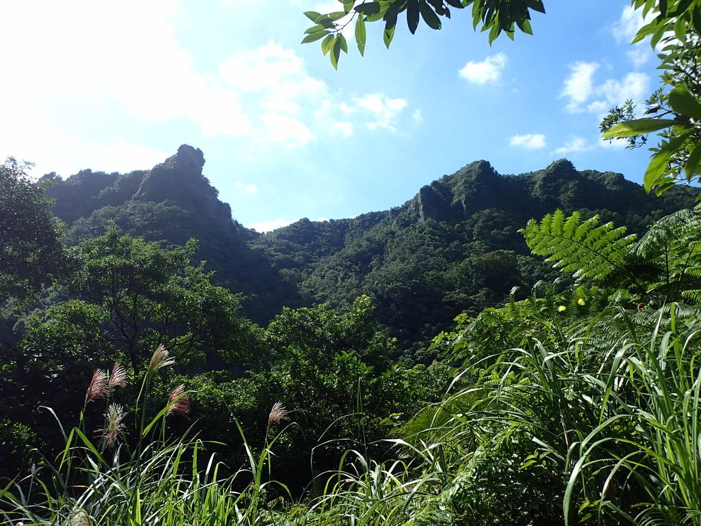 侯硐 獅子嘴奇岩 侯硐 獅子嘴奇岩
