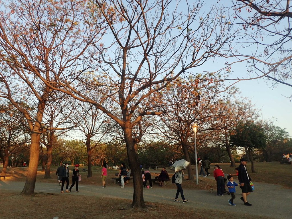 鳳山 衛武營都會公園 鳳山 衛武營都會公園