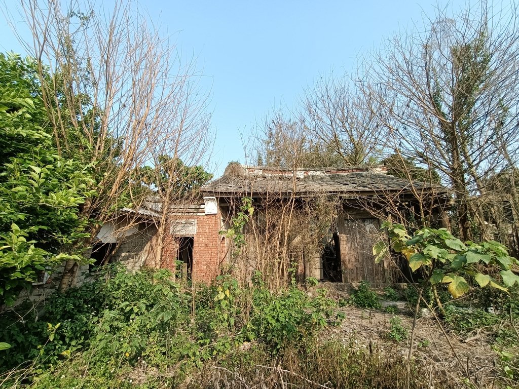 記憶廢墟 (229) 記憶廢墟 (229)