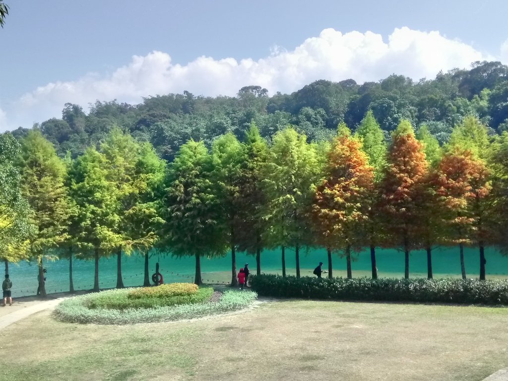 散步— 向山遊客中心周邊 散步— 向山遊客中心周邊