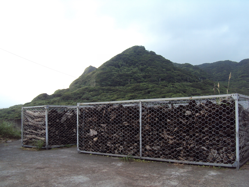 石門 乾華國小 草里分校 石門 乾華國小 草里分校