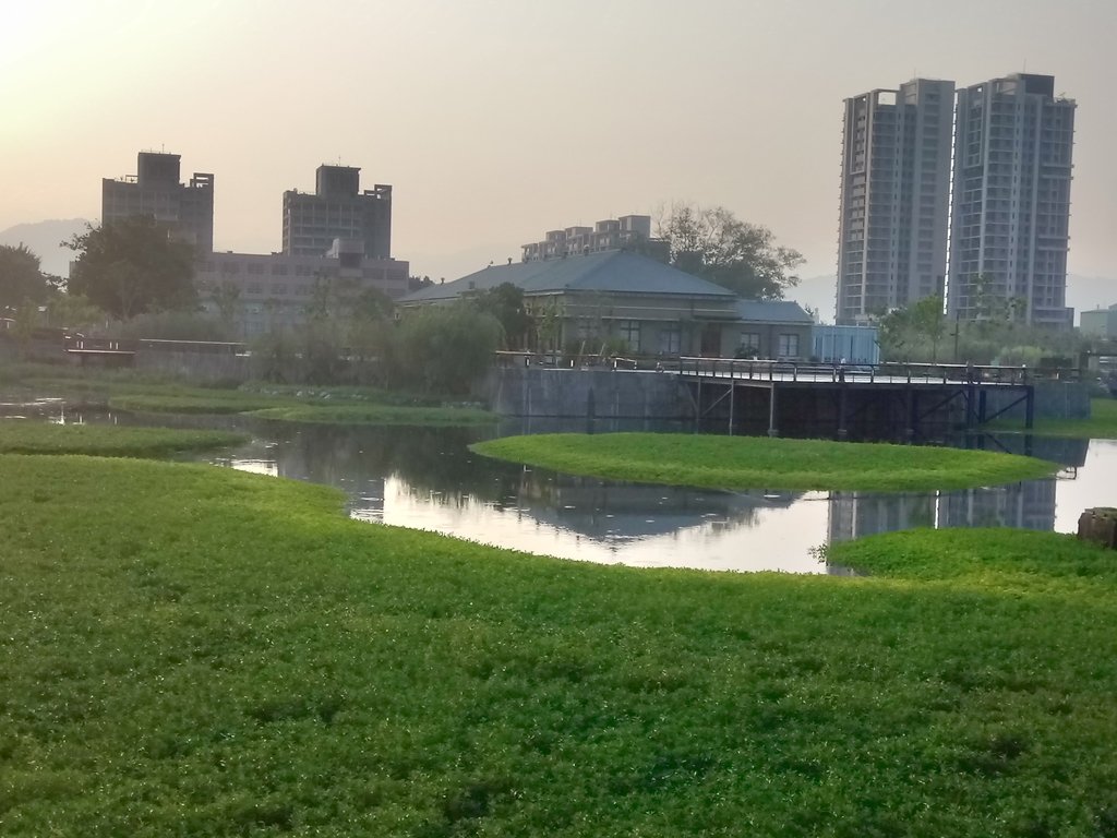 帝國製糖廠 台中營業所 晨光 (上) 帝國製糖廠 台中營業所 晨光 (上)