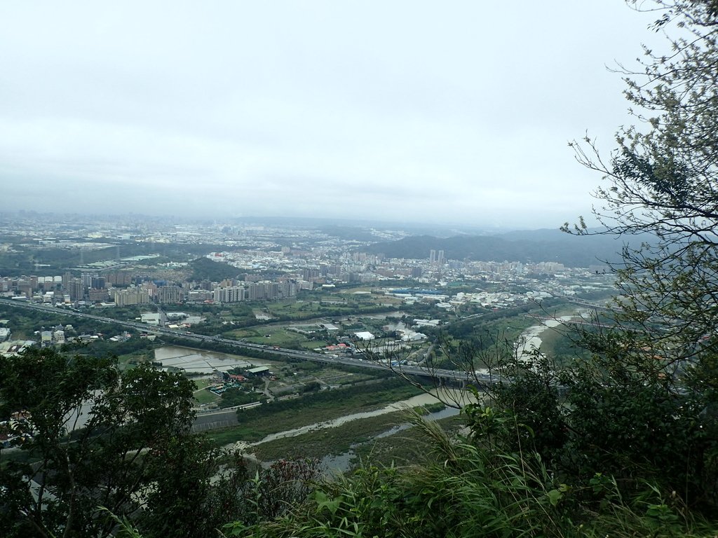 三峽 鳶山 (福德坑山) 三峽 鳶山 (福德坑山)