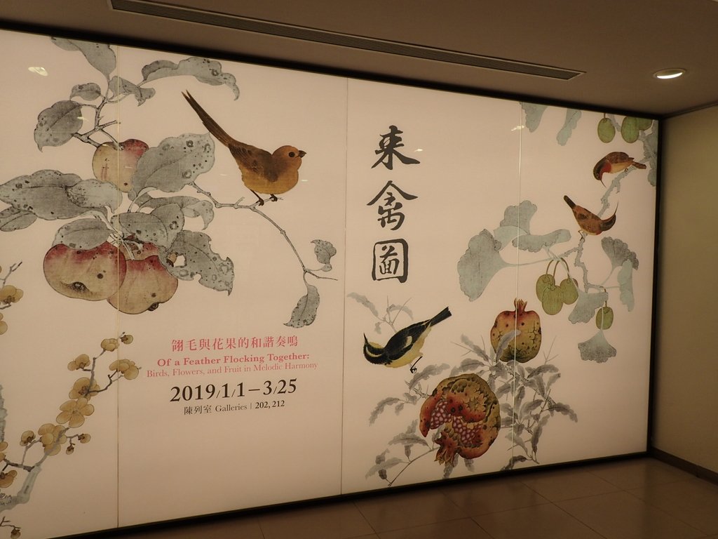 故宮 來禽圖特展 故宮 來禽圖特展