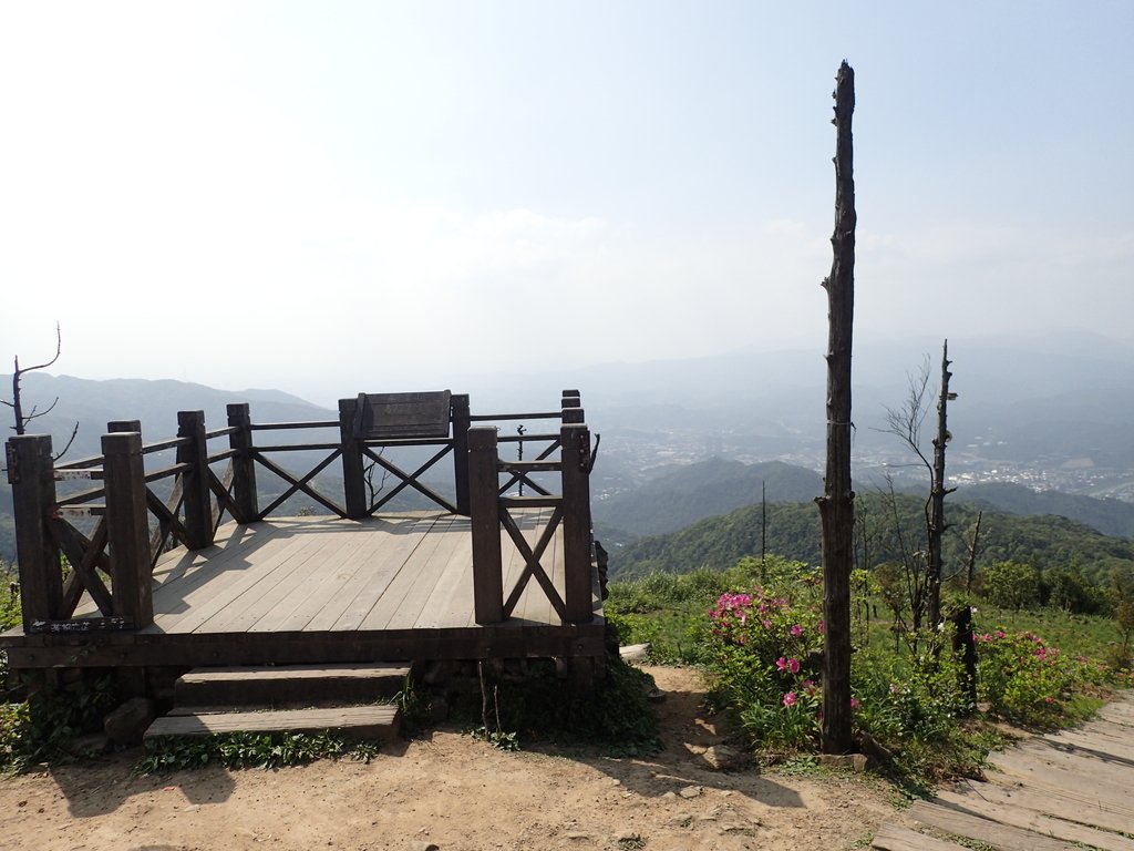 基隆 七堵 姜子寮山步道 基隆 七堵 姜子寮山步道