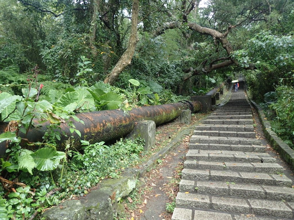 陽明山 天母古道 (水管路) 陽明山 天母古道 (水管路)
