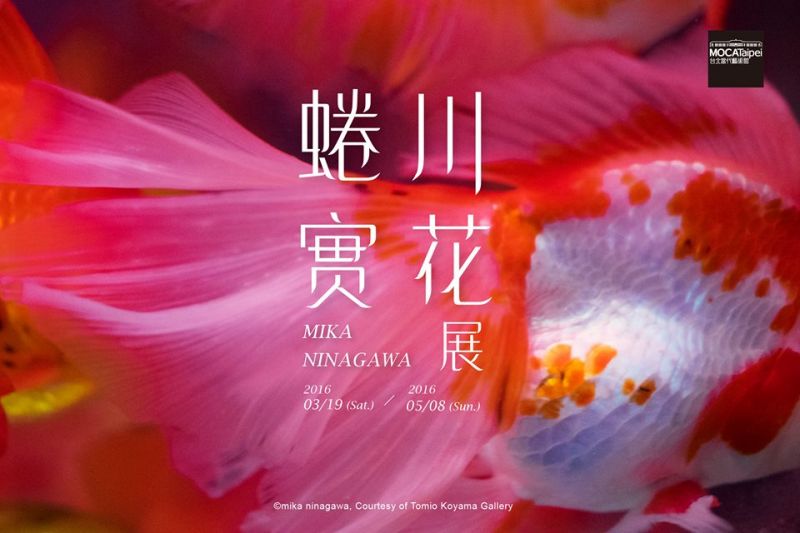 蜷川實花展 蜷川實花展