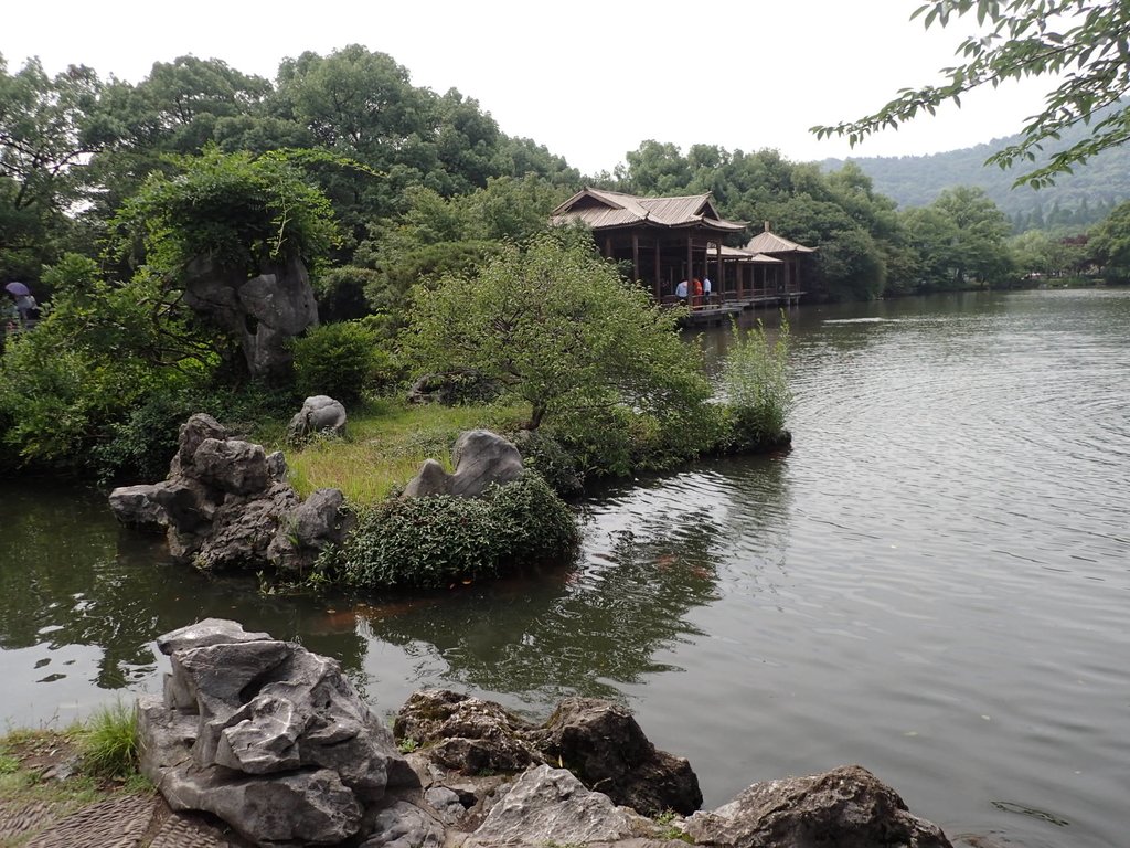 杭州 西湖之 花港觀魚 杭州 西湖之 花港觀魚