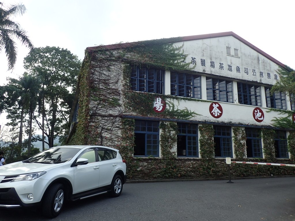 再訪— 魚池 日月老茶廠 再訪— 魚池 日月老茶廠