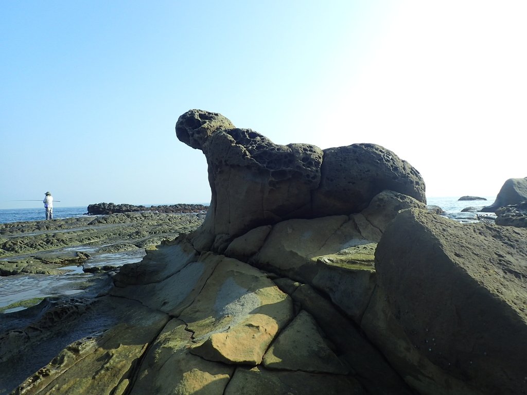 八斗子 大坪海岸 海豹石 八斗子 大坪海岸 海豹石