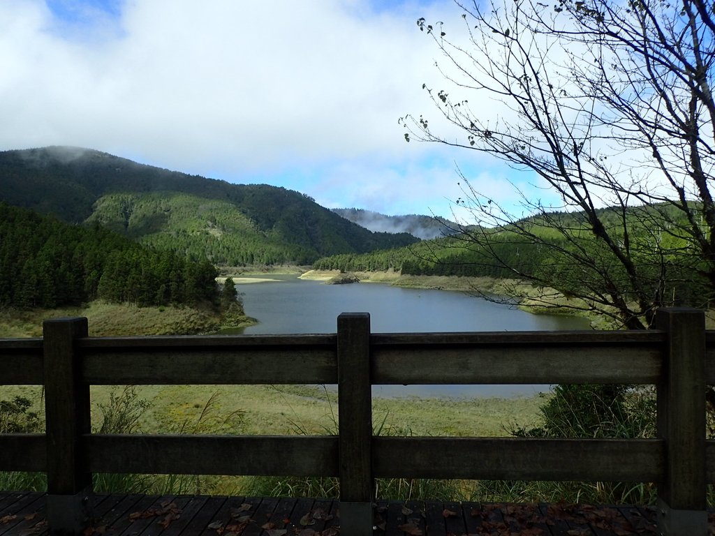 太平山 翠峰湖環山步道 (上) 太平山 翠峰湖環山步道 (上)