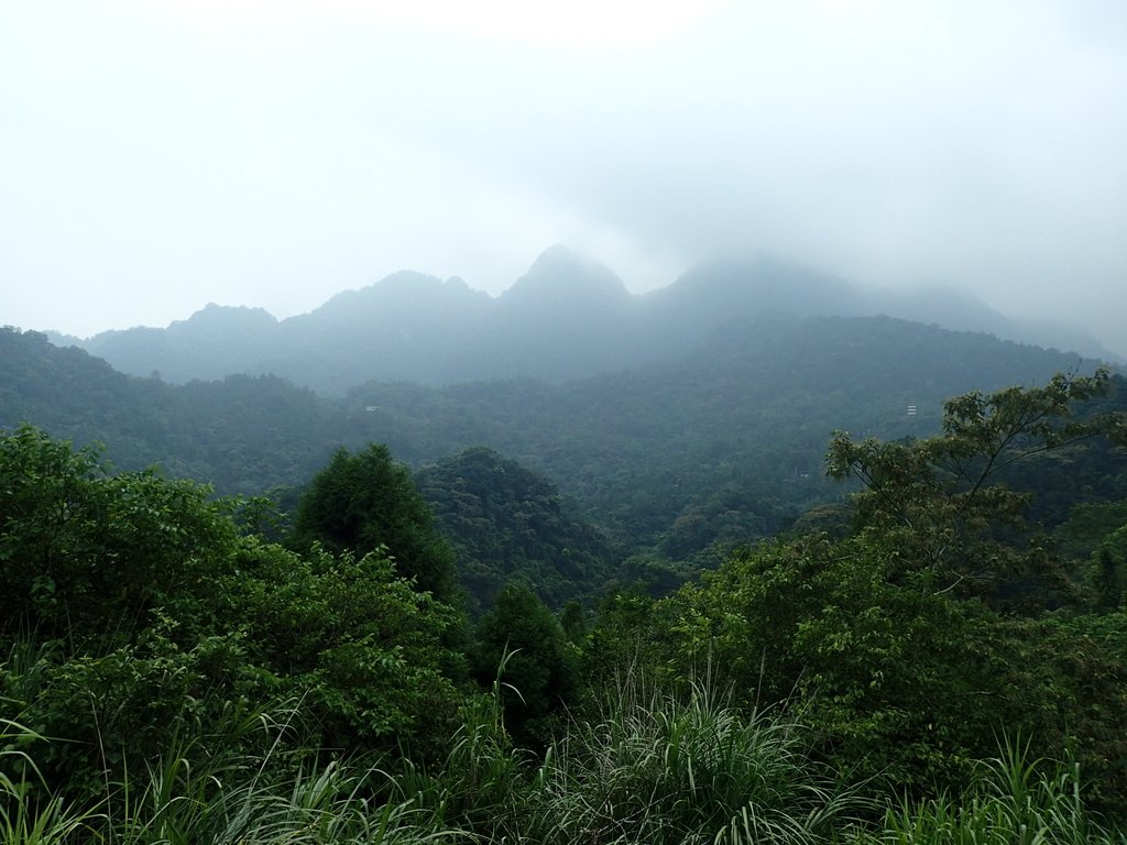 竹東 五指山登山步道 (上) 竹東 五指山登山步道 (上)