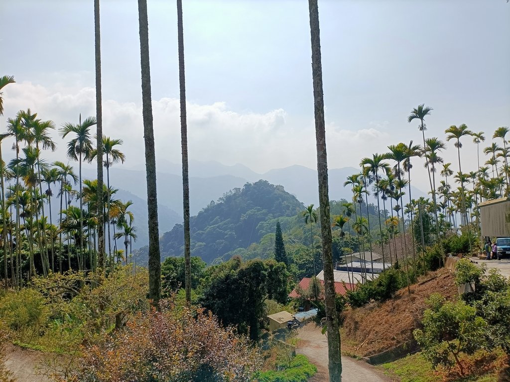 竹崎 獨立山步道 竹崎 獨立山步道
