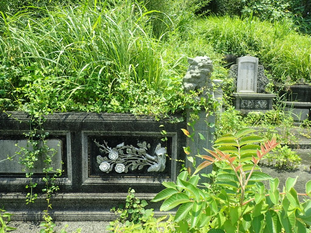 后里 圳寮 張媽楊氏孺人墓 后里 圳寮 張媽楊氏孺人墓