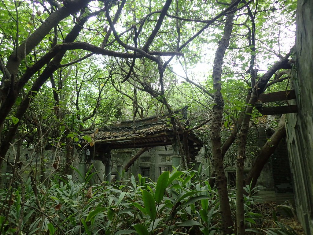 記憶廢墟 (328) 記憶廢墟 (328)
