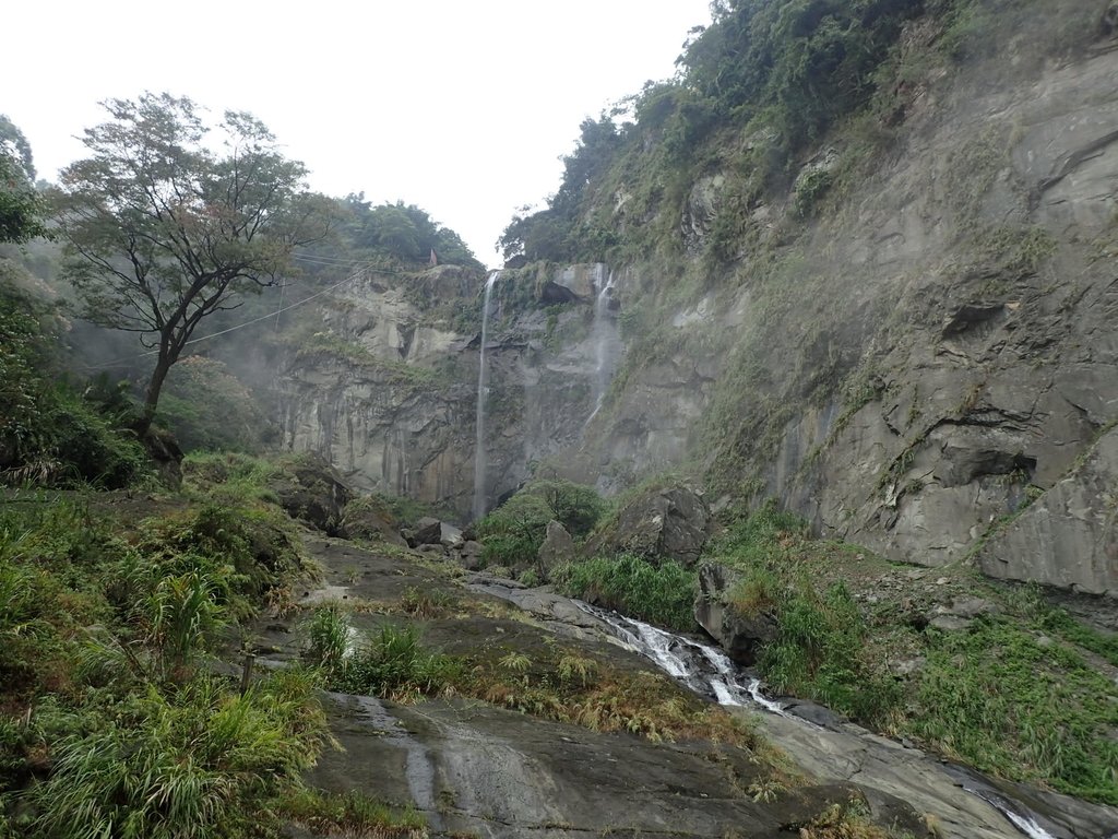 草嶺 蓬萊瀑布步道 草嶺 蓬萊瀑布步道