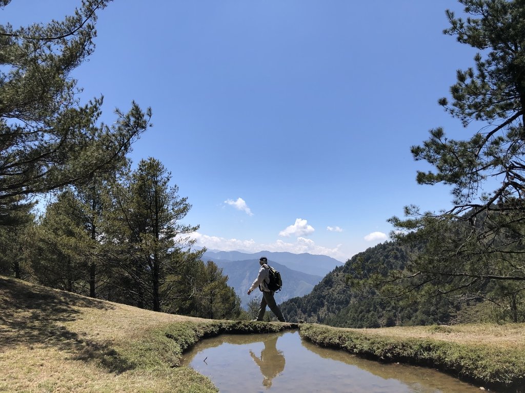 鹿林山 麟趾山步道 (上) 鹿林山 麟趾山步道 (上)