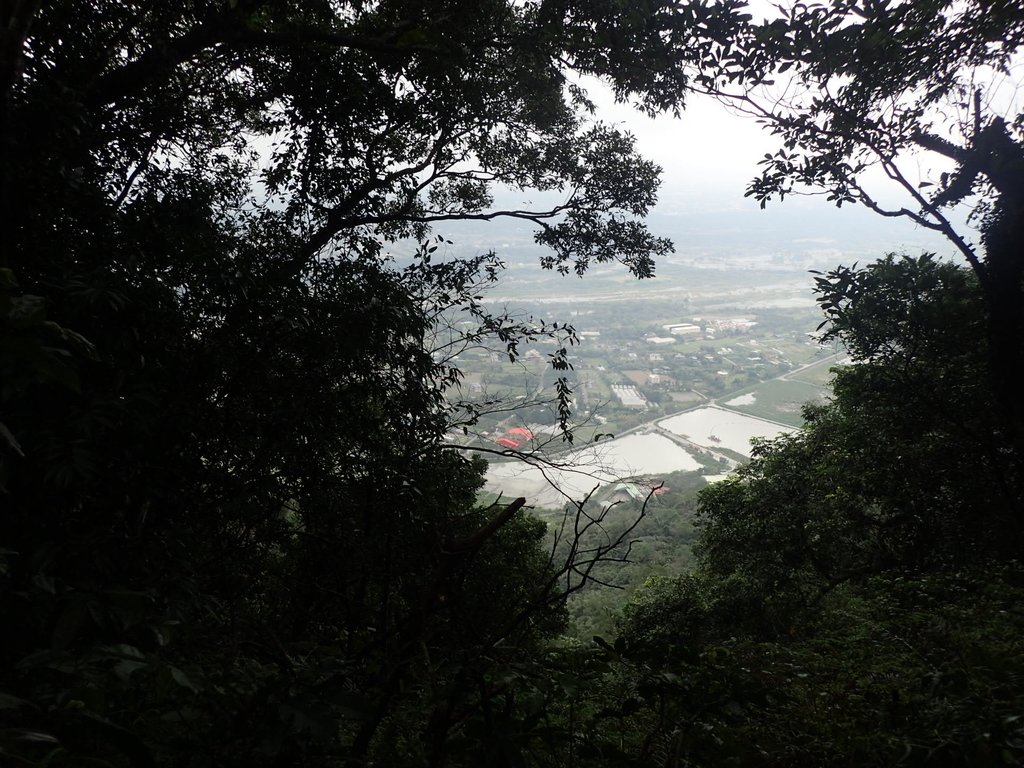 大溪 溪洲山登山步道 大溪 溪洲山登山步道