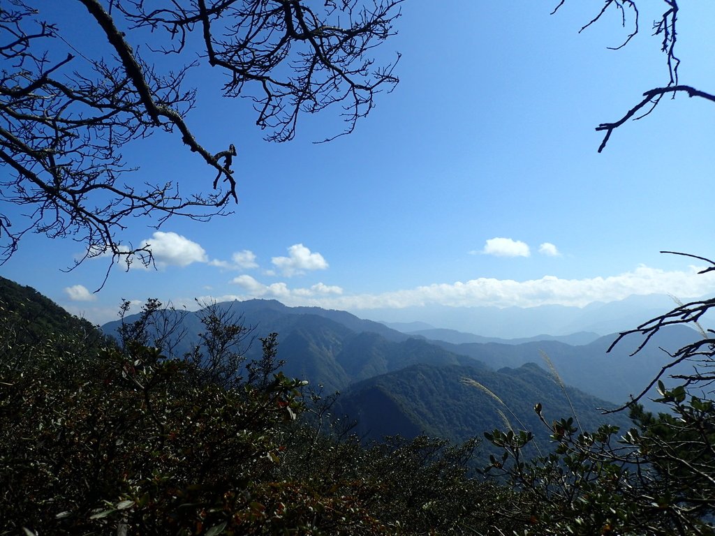 南庄 加里山登山步道 (上) 南庄 加里山登山步道 (上)