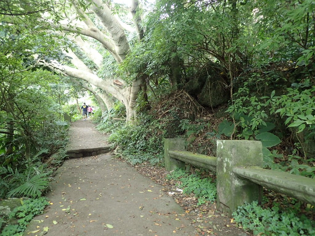 觀音山 參道紀行 (下) 觀音山 參道紀行 (下)